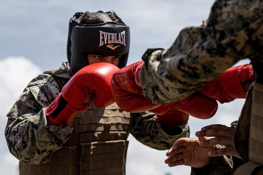 U.S. Marines Participate in Martial Arts Instructor course