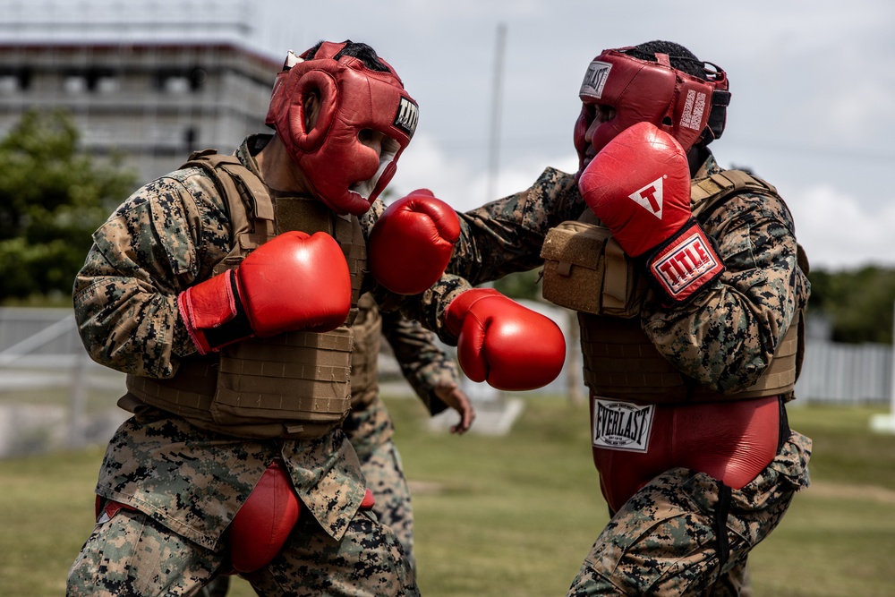 U.S. Marines Participate in Martial Arts Instructor course