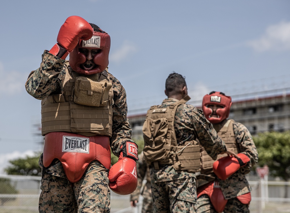 U.S. Marines Participate in Martial Arts Instructor course