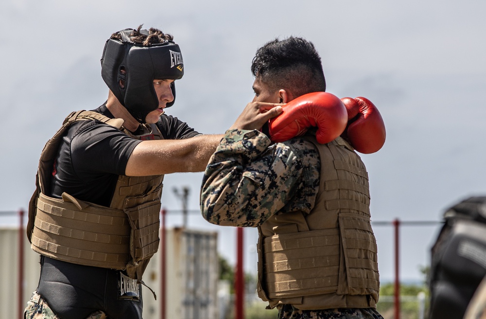 U.S. Marines Participate in Martial Arts Instructor course