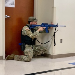 Stewart Guardian tests installation's mettle