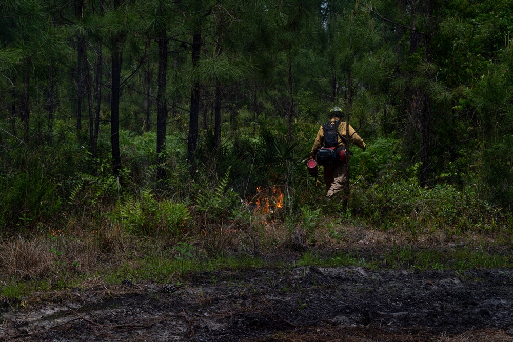 Prescribed burn enhances mission readiness
