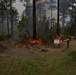 Prescribed burn enhances mission readiness