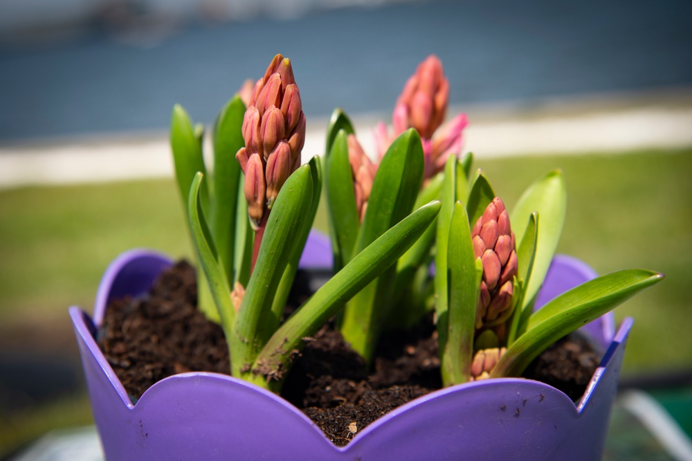 NMCP NURSES CELEBRATE EARTH DAY 2022