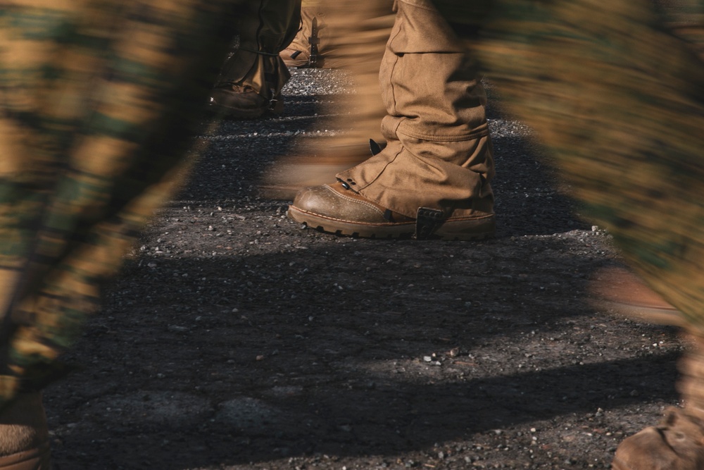 Norway Bilateral Exercise Cold Weather Training