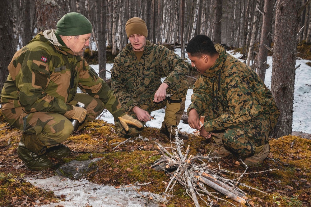 Norway Bilateral Exercise Cold Weather Training