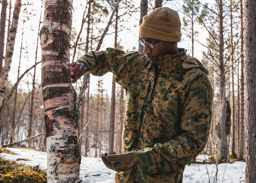 Norway Bilateral Exercise Cold Weather Training