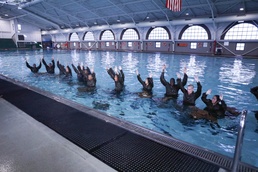 Iron Ducks
