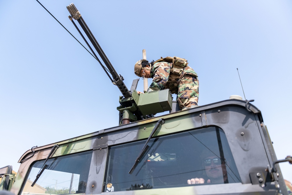 SELARM: Dedicated defense