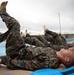 Marines from across III MEF participate in Martial Arts Instructor course