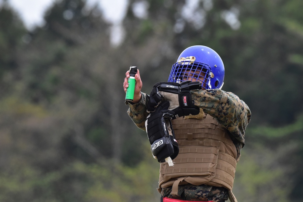 Camp Fuji Marines complete Martial Arts Instructor Course