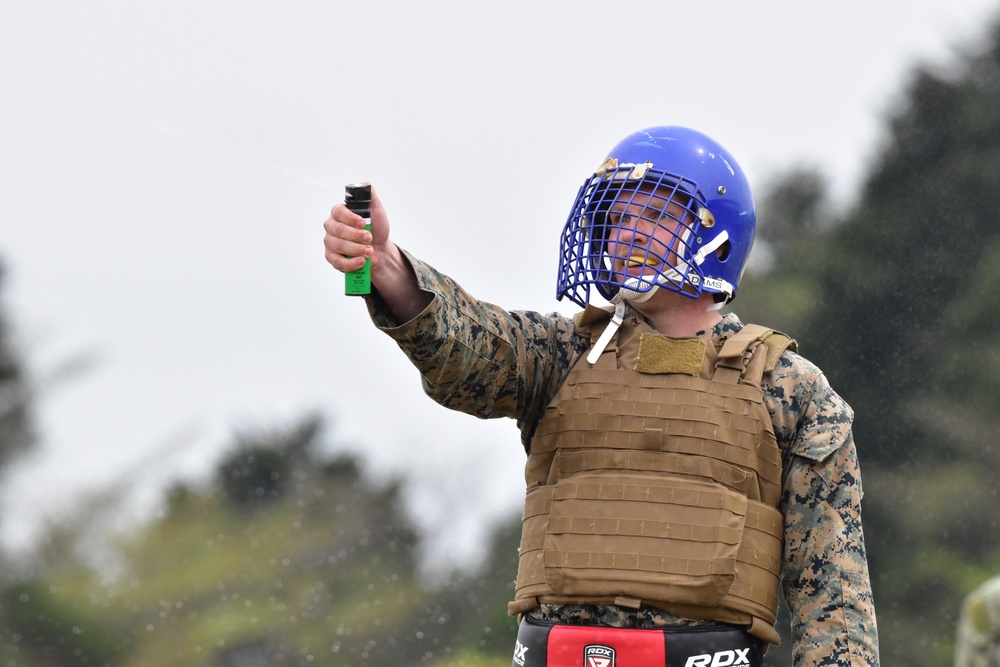 Camp Fuji Marines complete Martial Arts Instructor Course