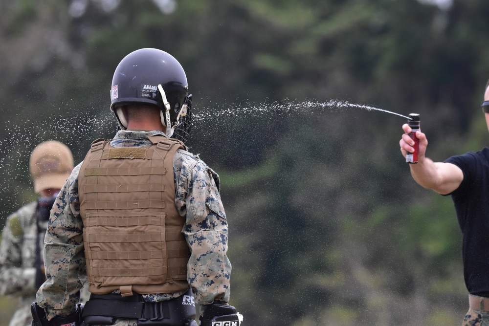 Camp Fuji Marines complete Martial Arts Instructor Course