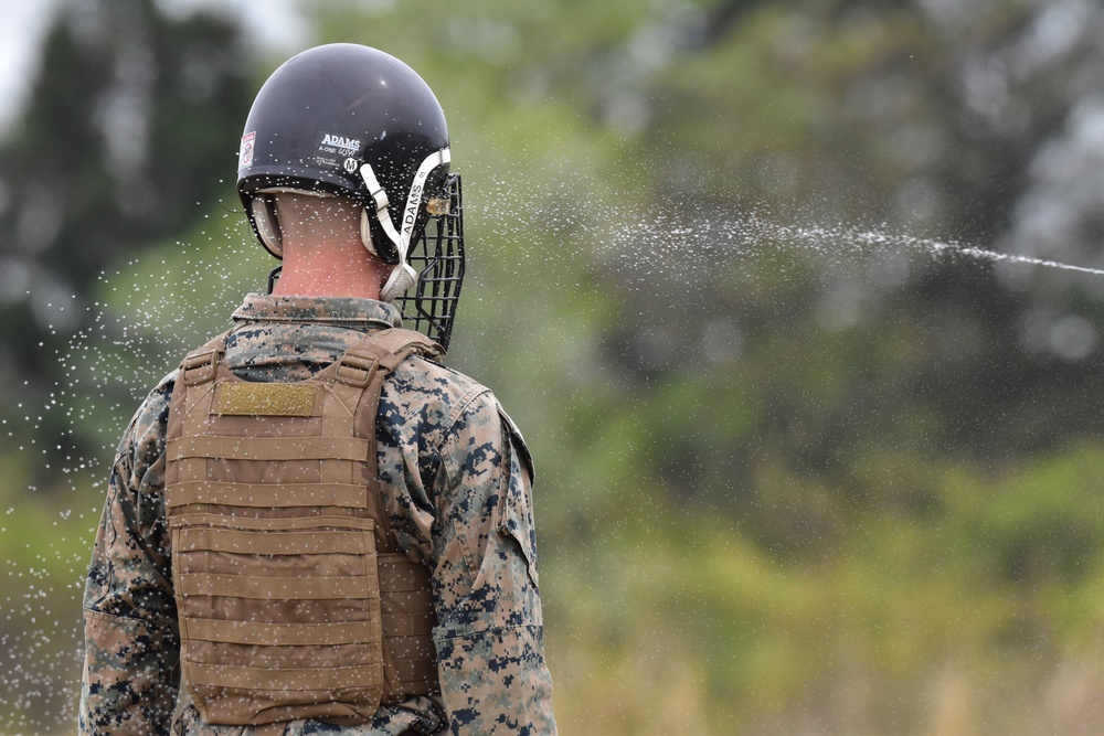 Camp Fuji Marines complete Martial Arts Instructor Course