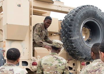 Relief in place begins