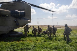 U.S. and Dutch forces demonstrate capabilities, strengthen partnership in Combined aerial response exercise