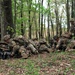 2nd Battalion, 327th Infantry Regiment &quot;No Slack&quot; conducts a Platoon Live Fire Exercise during OLEII