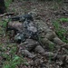 2nd Battalion, 327th Infantry Regiment &quot;No Slack&quot; conducts a Platoon Live Fire Exercise during OLEII