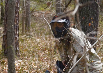 Paintballs fly as Wolverines train Soldier skills