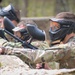 Paintballs fly as Wolverines train Soldier skills