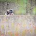 Paintballs fly as Wolverines train Soldier skills