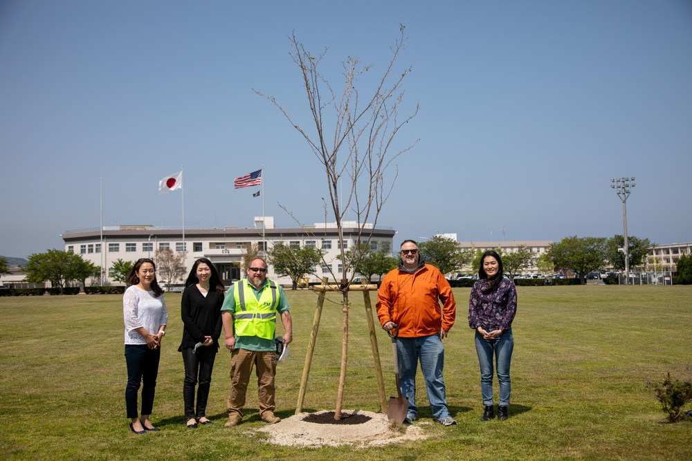 A New Leaf: trees planted at MCAS Iwakuni