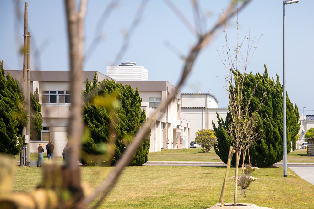 A New Leaf: trees planted at MCAS Iwakuni