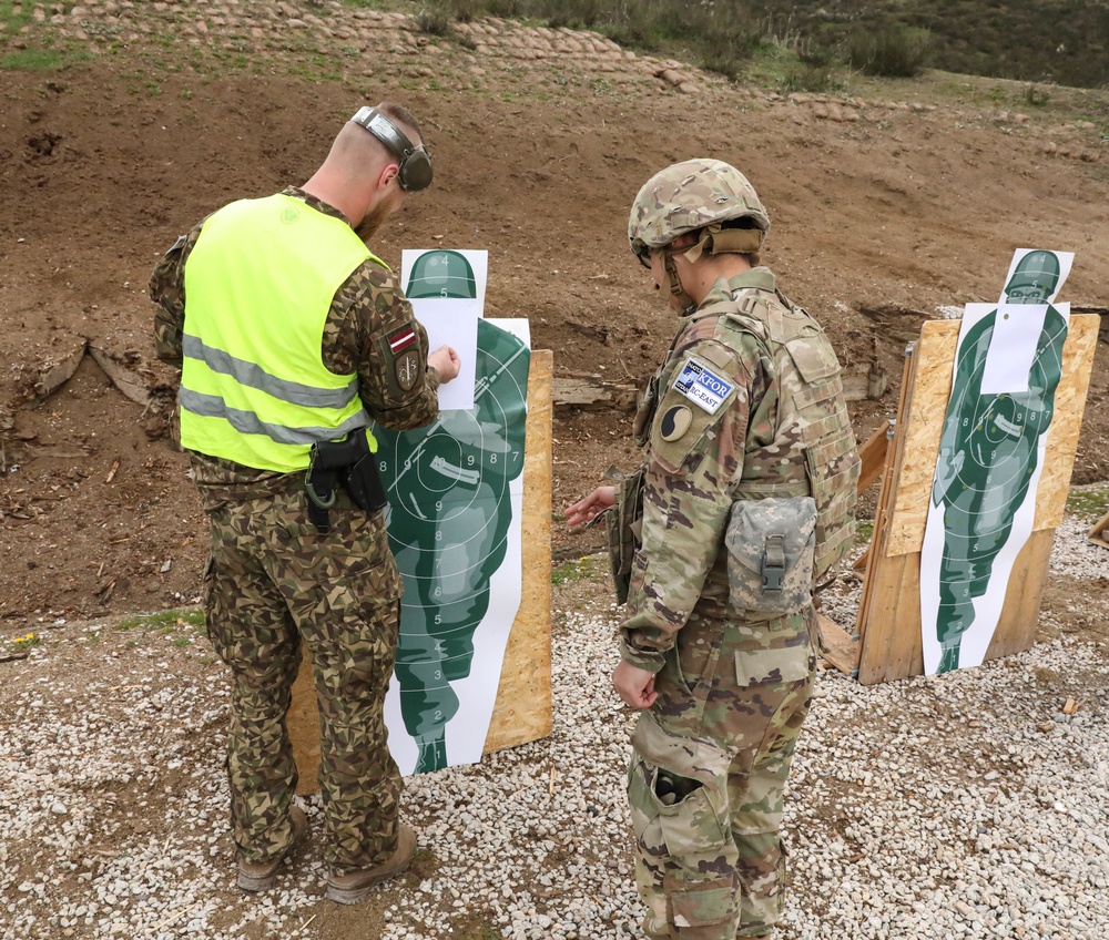 Multinational Weapons Familiarization Training