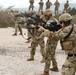 Multinational Weapons Familiarization Training