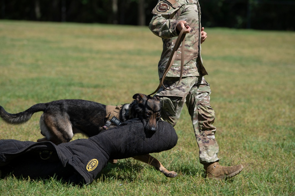 23rd SFS, community honors military kids