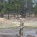 Archers Battalion conducts demolition range