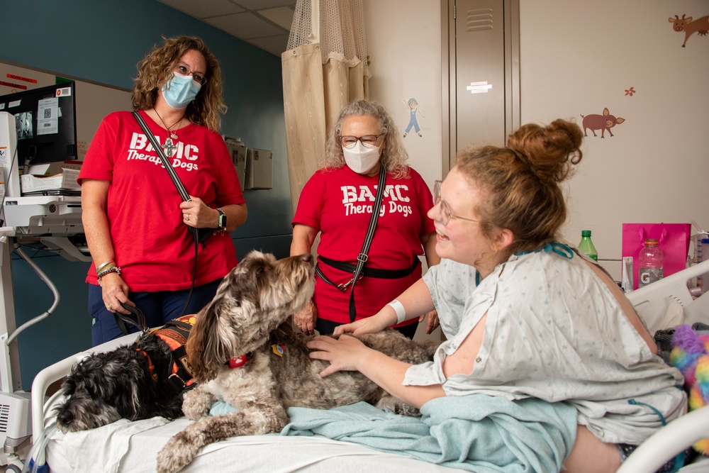 Therapy dogs, handlers deliver joy to patients, staff