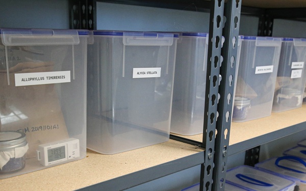 The cycad recovery mission at Marine Corps Base Camp Blaz