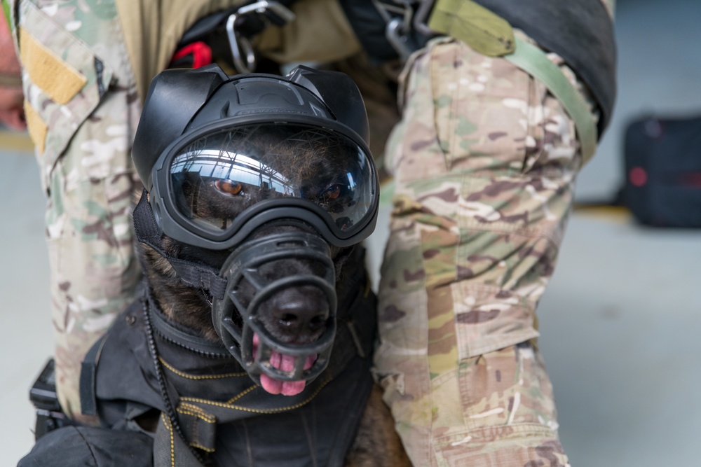 Belgian Paratroopers Sustainment Training on Chièvres AB