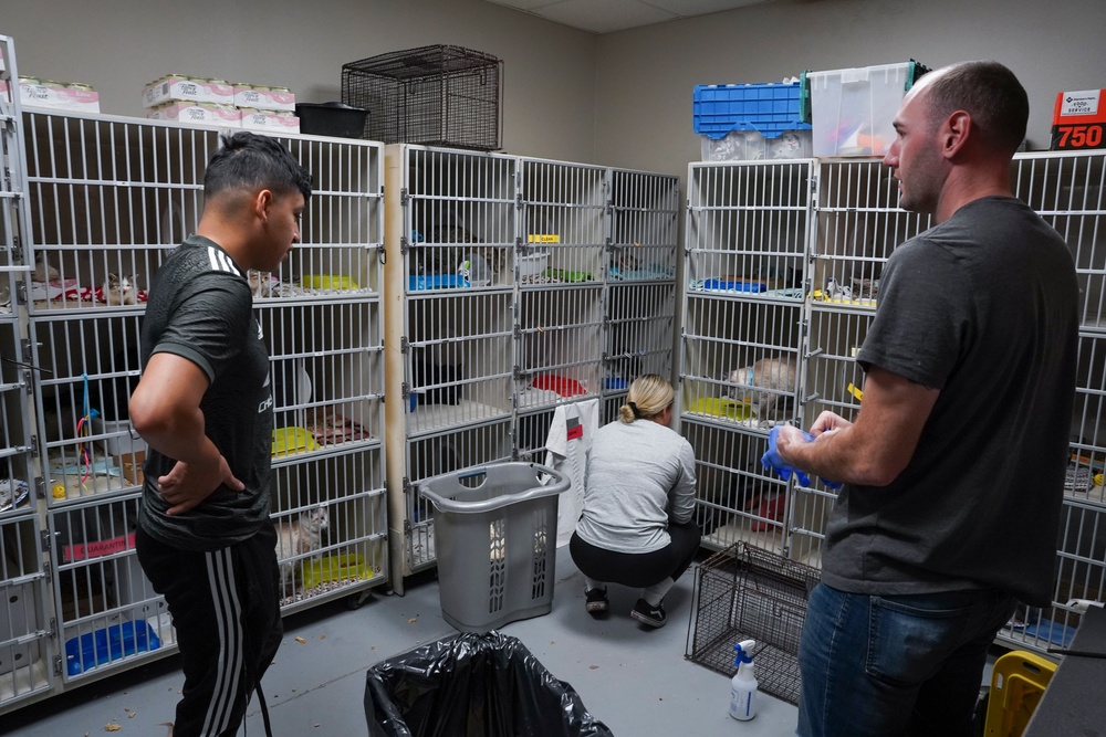 MCAS Yuma Marines volunteer at the Humane Society of Yuma