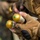 A person wearing tactical military gloves and USMC (United States Marine Corps) camouflage uniform is holding multiple gold-topped cylindrical munitions, likely 40mm less-lethal or training rounds. The gloves feature a fingerless design with knuckle protection and bear a chevron insignia consistent with a Sergeant rank patch. The image is a close-up shot focused on the hands and munitions.