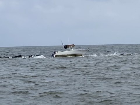 Coast Guard, good Samaritan assist 4 aboard vessel near Galveston, Texas