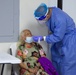 JTF-PR supports COVID-19 testing sites.