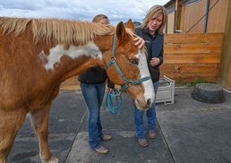 Local charity named Air National Guard winner for horse therapy outreach to service members