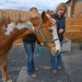 Local charity named Air National Guard winner for horse therapy outreach to service members