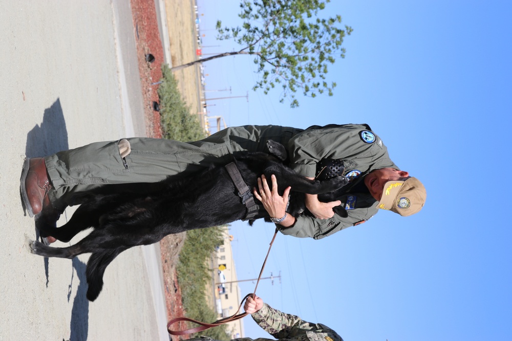 New Kennel for NASL Military Working Dogs