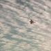 449 AEG attend French Vol de Nuit airshow