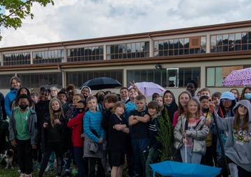 Tree planting: nurture and nature