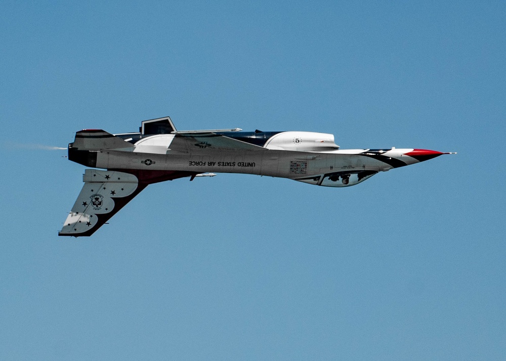Sunshine State Welcomes the Thunderbirds