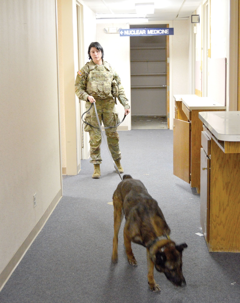 Military working dog: Local police teams collaborate for training