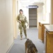 Military working dog: Local police teams collaborate for training