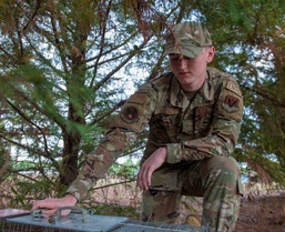 Pest management controls the habitat