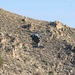HSC-5 Daytime Familiarization Flight