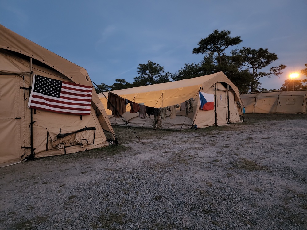 Goodnight Emerald Warrior 22.1