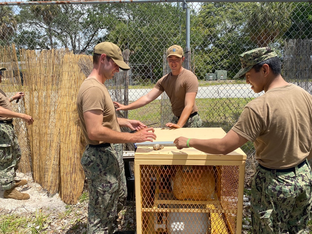 Fleet Week Sailors Help Renovate Naval Air History Museum